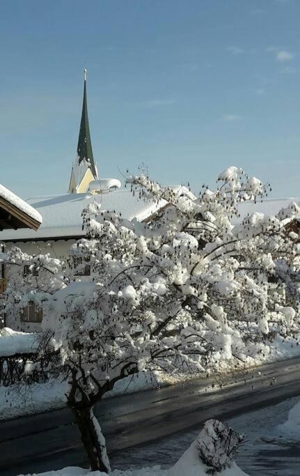 Barrierefreie Schoene Wohnung Im Eg Kössen Exterior foto